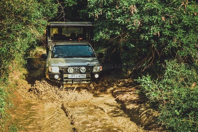 Yala Full Day Leopard Safari Tour With Picnic Lunch - Private Tour - Pick up and Drop off Locations