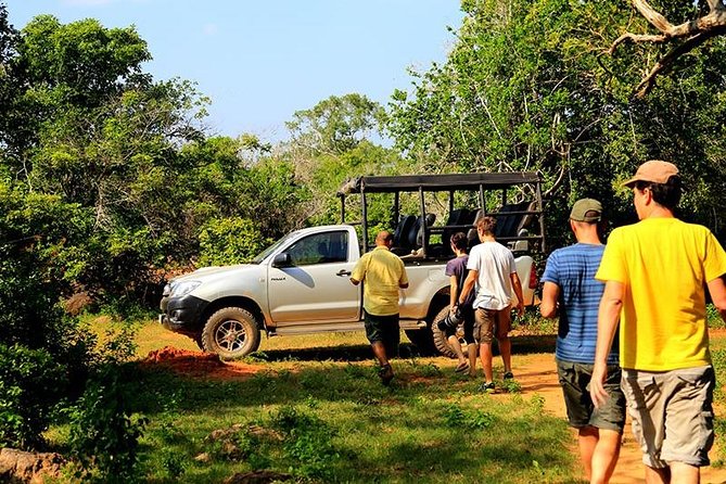 Yala Full Day Leopard Safari Tour With Picnic Lunch - Private Tour - Traveler Photos and Reviews