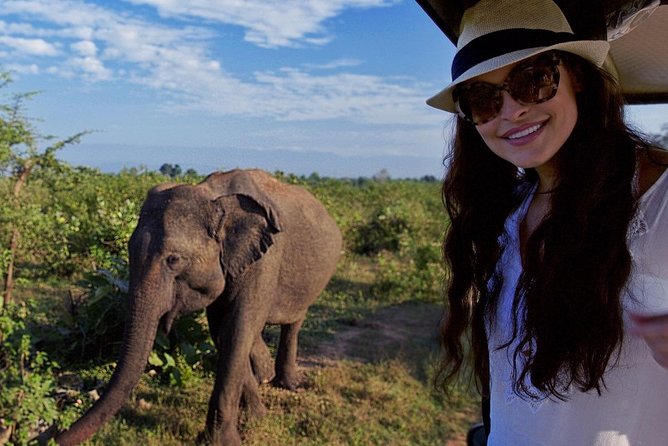 Yala Full Day Leopard Safari Tour With Picnic Lunch - Private Tour - The Sum Up and Contact Information