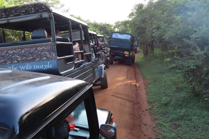 Yala Full Day Private Tour and Safari From Colombo or Negombo - Reviews