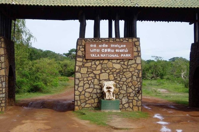 Yala Full Day Private Tour and Safari From Colombo or Negombo - Safari Experience