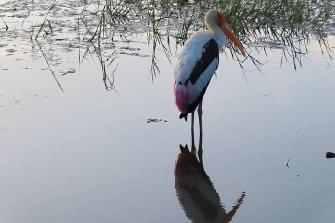 Yala Full Day Private Tour and Safari From Colombo or Negombo - Lunch Menu