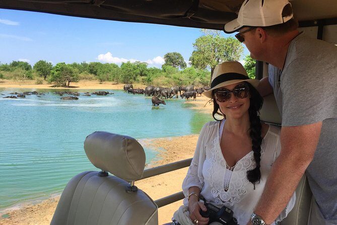 Yala Full Day Safari with Picnic Lunch - Private & All Inclusive - Good To Know