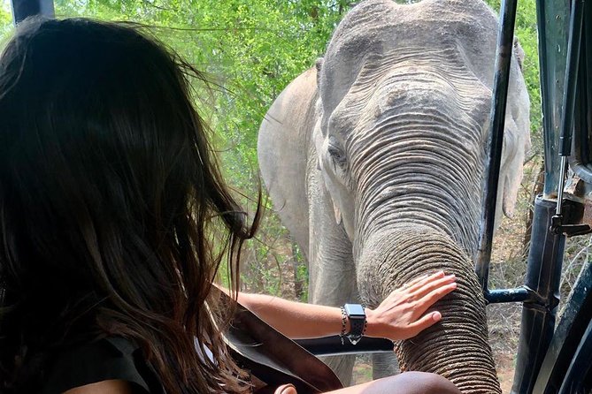 Yala Half Day Safari - Safari Highlights