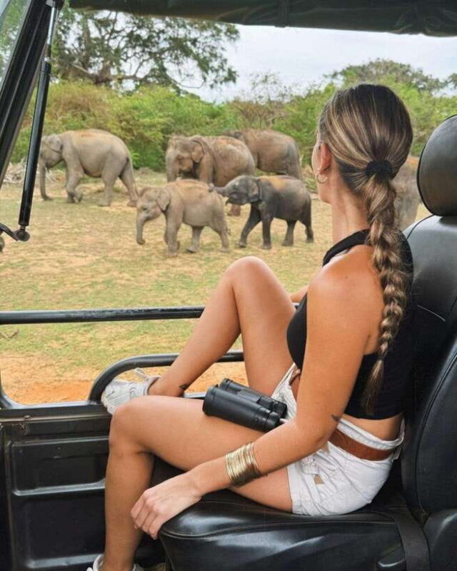 Yala National Park: 7 hours or 12 hours Leopard Wild Safari - Discovering Yala National Park: A Natural Wonderland