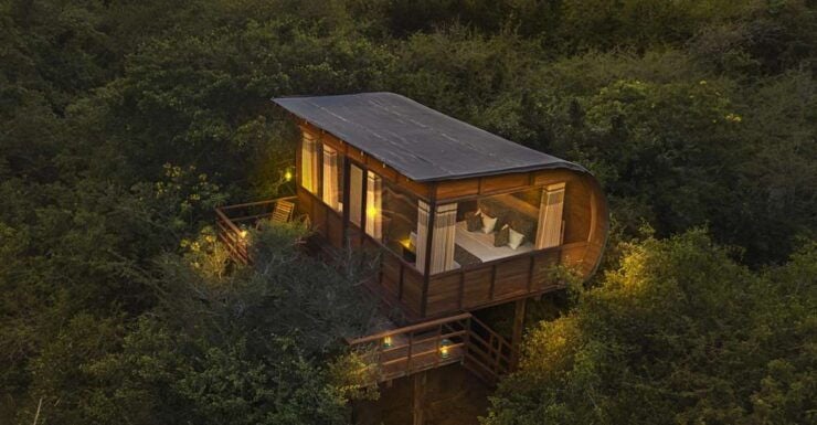 Yala National Park All-Inclusive 2-Day Safari - Safari Experience