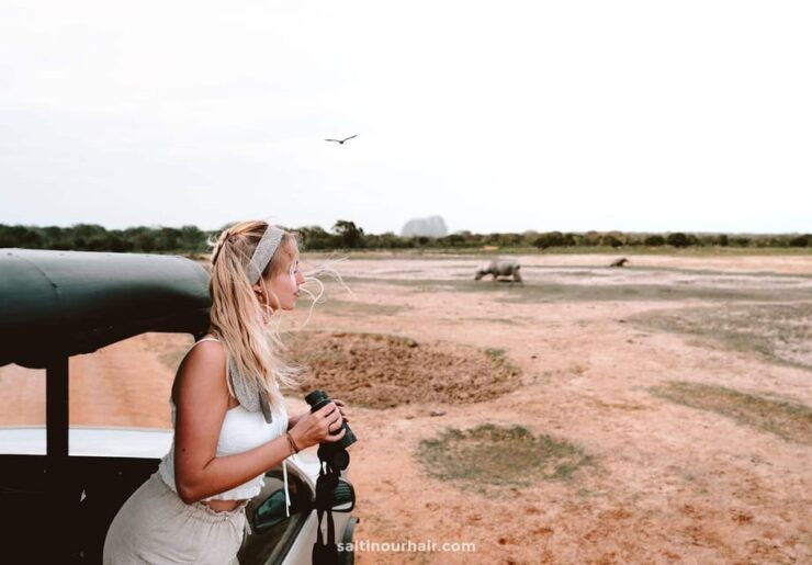 Yala National Park: All-Inclusive Day Tour - Good To Know