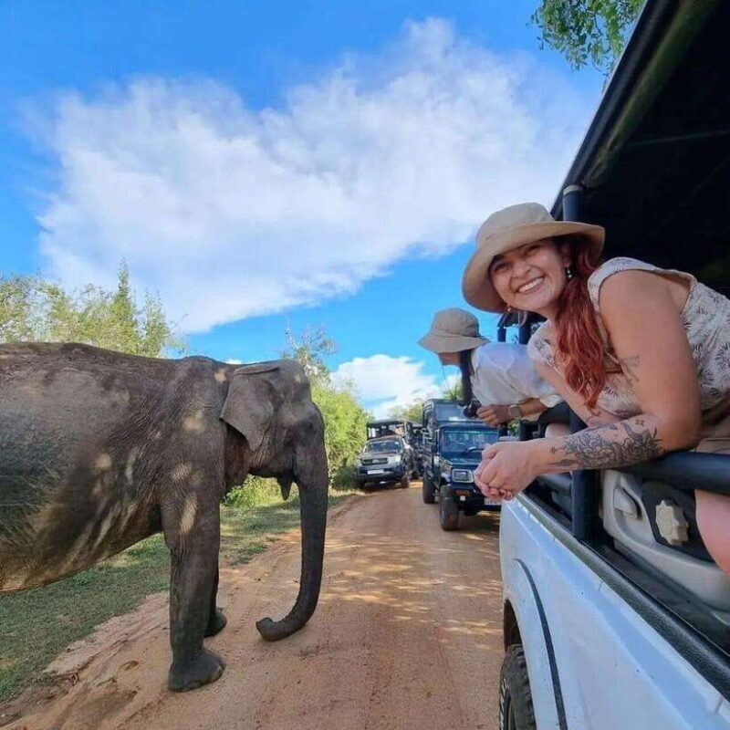 Yala National Park: All Inclusive Private Safari Day Trip - Authentic Experiences from Previous Travelers