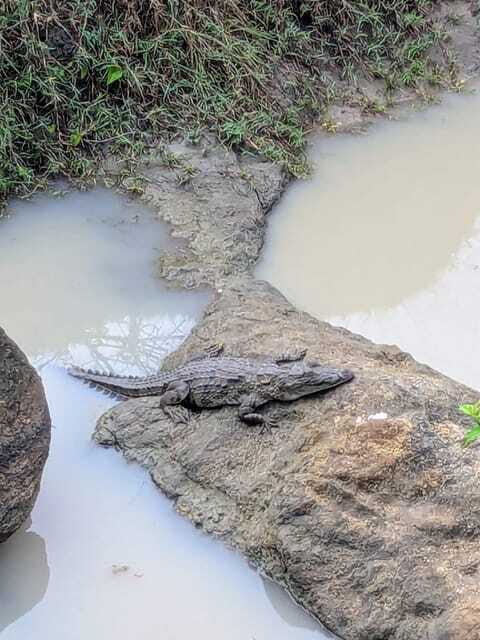 Yala National Park: Day Tour with Jeep Safari - FAQs