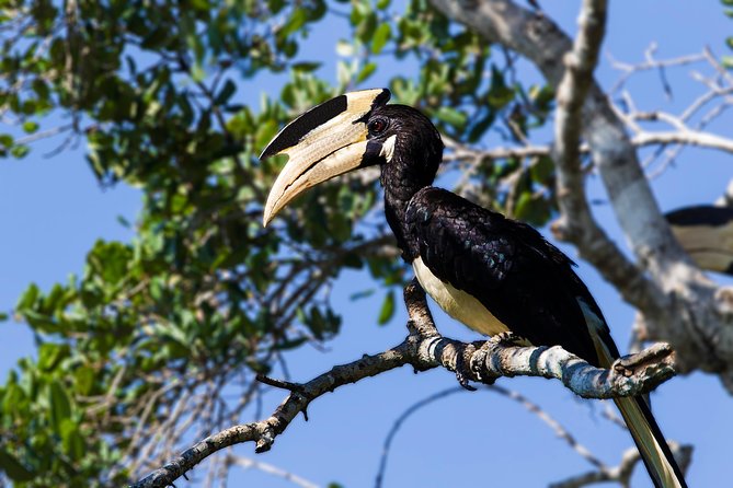 Yala National Park - Full Day Private Tour - Cancellation Policy and Reviews