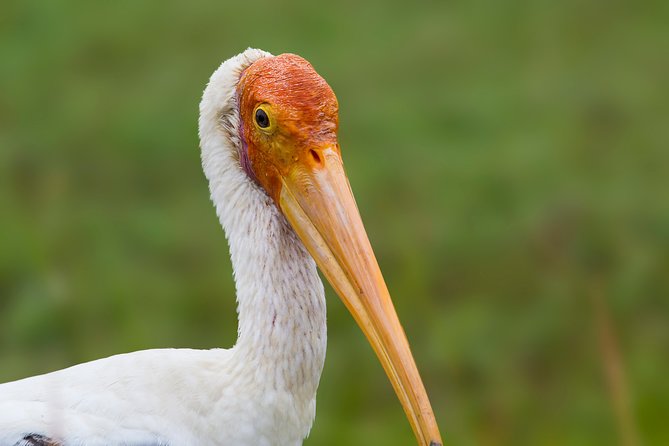 Yala National Park - Full Day Private Tour - Pickup and Start Details