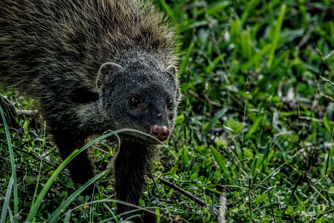 Yala National Park - Full Day Safari (04:30 Am - 06:00 Pm) - Packing Essentials for the Safari