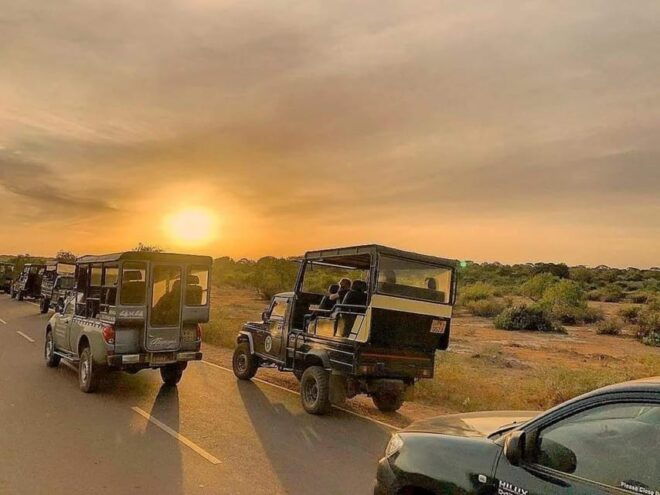 Yala National Park : Full Day Safari (04:30 Am - 18:00 Pm) - Guide Expertise