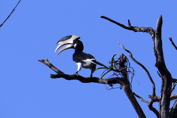 Yala National Park Full Day Safari From Hambantota Cruise Terminal - Frequently Asked Questions