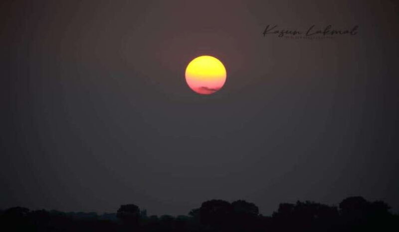 Yala National Park: Full day Safari Tour - Who Is This Tour Best For?