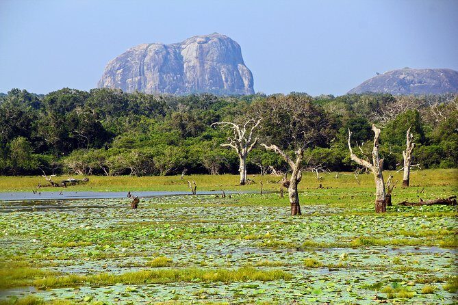 Yala National Park Full Day Safari Tour from Ella - Exploring the Yala Safari Experience
