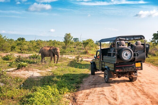 Yala National Park Half Day / Full Day Special Safari Tours - FAQ