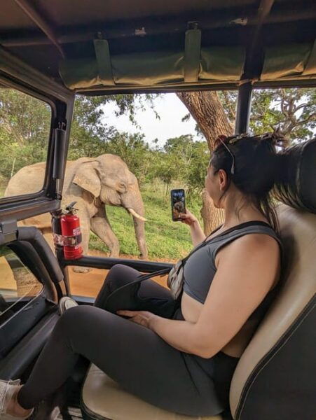 Yala National Park Half Day Safari by Toyota Jeep - Tips for a Successful Safari