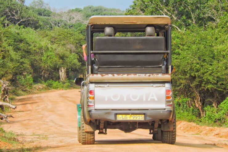 Yala National Park: Half Day Safari With Yala Odyssey Tours - Good To Know