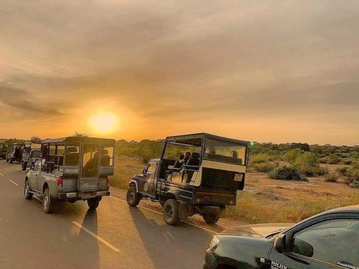Yala National Park : Inclusive Full Day Safari (4:30-18:00) - Good To Know