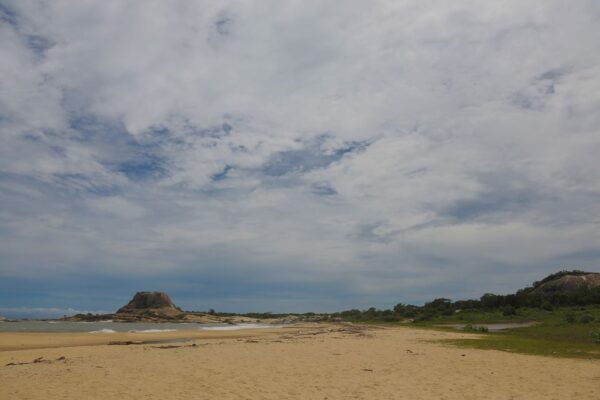 Yala National Park: Leopard Safari Full Day Tour With Lunch - Pickup and Drop-Off Included