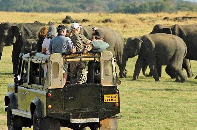 Yala National Park Leopard Safari Wildlife Private Adventure - Review Insights and Real Experiences