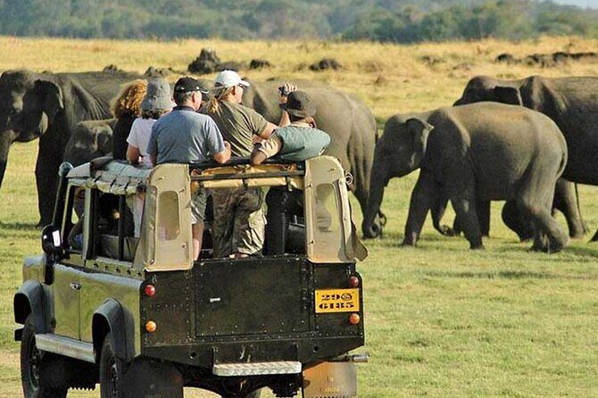 Yala National Park Leopard Safari Wildlife Private Adventure - The Sum Up