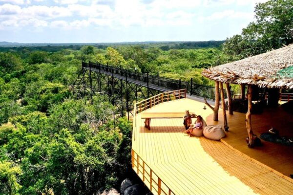 Yala National Park : Luxury Camping Adventure & Safaris - Transportation Options