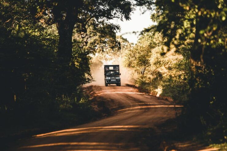 Yala National Park: Morning or Afternoon Game Drive - Park Highlights and Wildlife Diversity