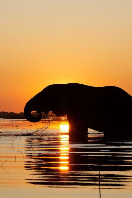 Yala National Park: Private Full Day Safari (04:00-18:00) - Itinerary and Logistics