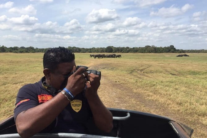 Yala National Park Private Jeep Safari From Colombo & Negombo - Who Should Consider This Tour?
