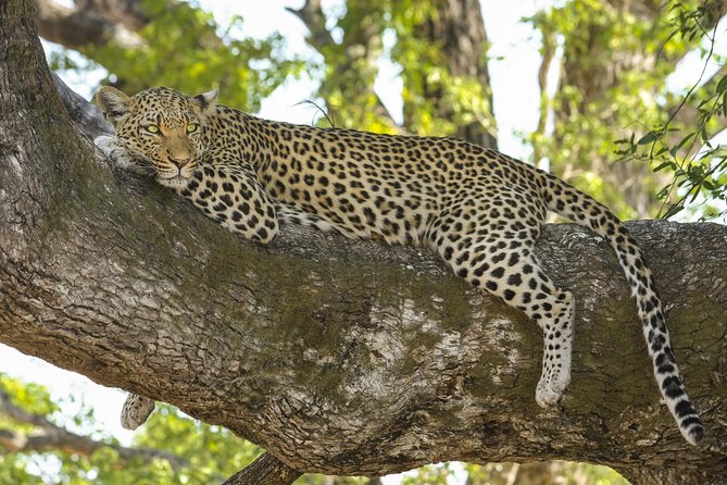 Yala National Park Private Safari - Refund and Cancellation Policy