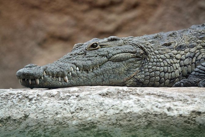 Yala National Park Private Safari (All Inclusive) From Mirissa - Cancellation Policy