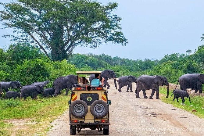 Yala National Park Private Safari (All Inclusive) From Mirissa - Traveler Photos and Reviews