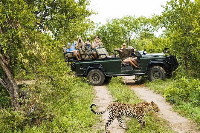 Yala National Park Private Safari (All Inclusive) From Mirissa - Safari Highlights and Wildlife Spotting