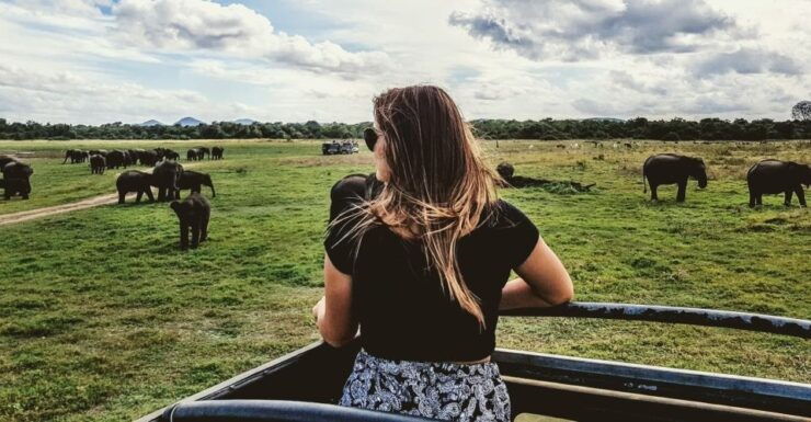 Yala National Park: Private Safari at Golden Hours - Safari Experience