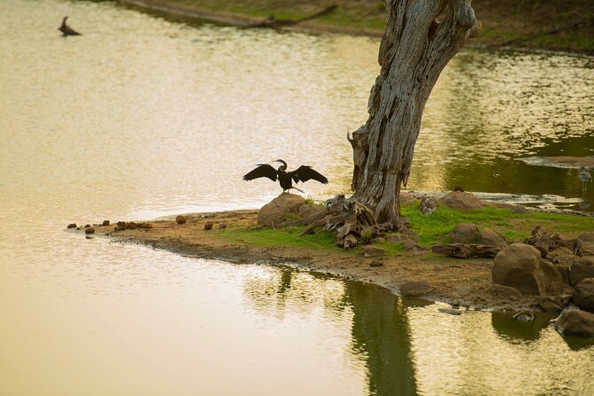 Yala National Park Private Safari Tour - Cancellation Policy