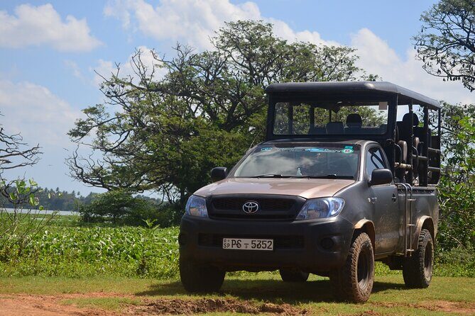 Yala National Park Private Tour with Fast Entry - Good To Know