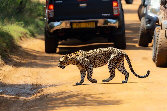 Yala National Park Private Tour with Fast Entry - Frequently Asked Questions