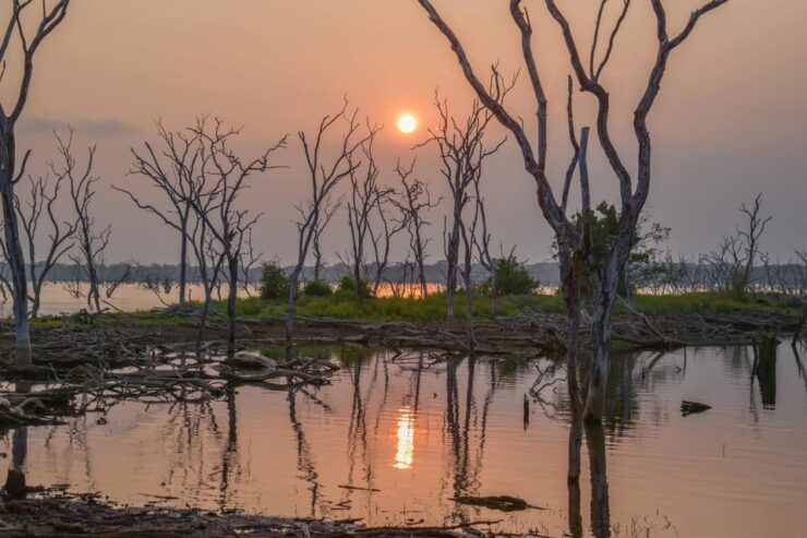 Yala National Park: PRIVATE Wilderness 4*4 Safari Tour - Good To Know