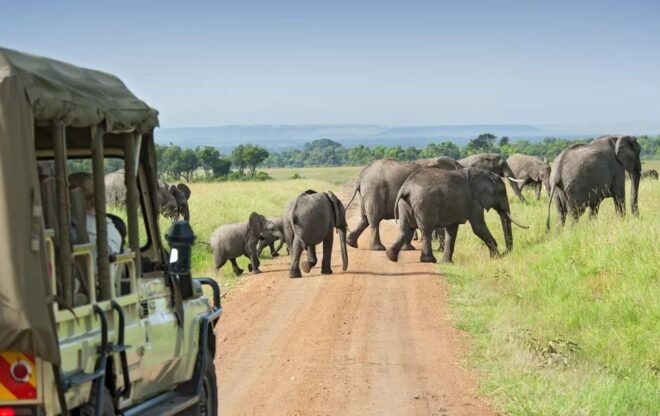 Yala National Park: PRIVATE Wilderness 4*4 Safari Tour - Detailed Itinerary