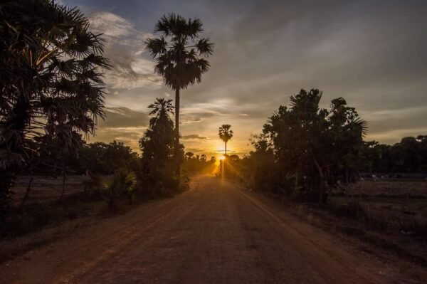 Yala National Park: PRIVATE Wilderness 4*4 Safari Tour - Booking Your Safari Tour