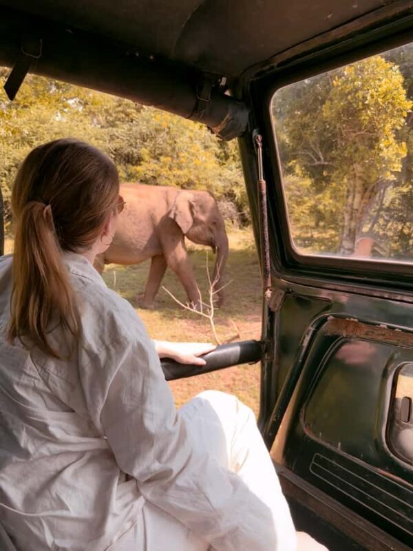 Yala National Park : Safari and Village Tour-Morning/evening - Why This Tour Is a Great Choice