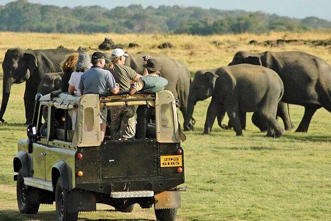 Yala National Park Safari from Ahungalla,Kosgoda,Bentota - Who Will Love This Tour?