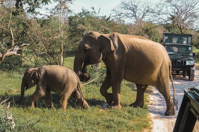 Yala National Park Safari From Bentota - Directions