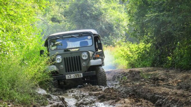 Yala National Park Safari From Hambantota Sea Port - Inclusions and Exclusions