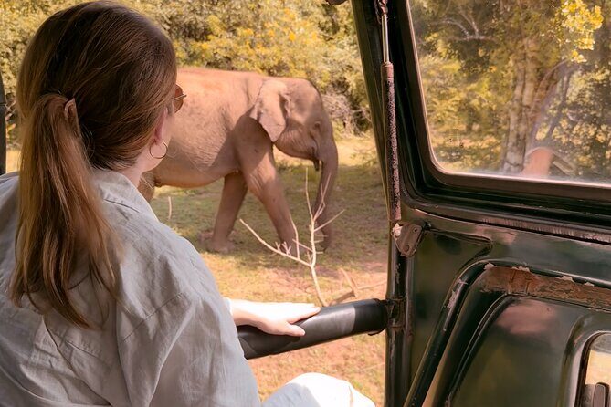 Yala National Park Safari FULLDAY and HALFDAY Expert Guided Tour - Review of the Yala National Park Safari: Full-Day and Half-Day Guided Tours