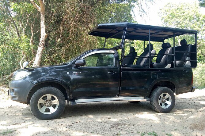 Yala National Park Safari Half Day and Full Day Tours - What Reviewers Love Most