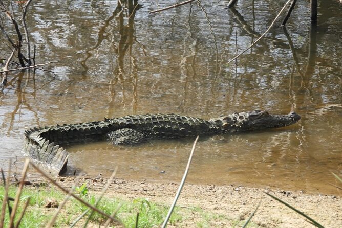 Yala National Park Safari | Jeep With Tickets - Inclusions and Exclusions