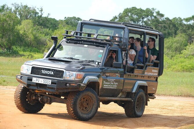 Yala National Park Safari : Special Guided Tour - A Detailed Look at the Yala National Park Safari: Special Guided Tour